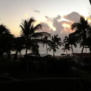 Cocotiers Et Pieds Dans L'eau Appartement